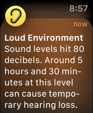 Screenshot dell'Apple Watch Noise App Avviso forte